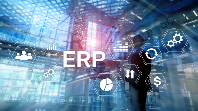ERP Controls Management