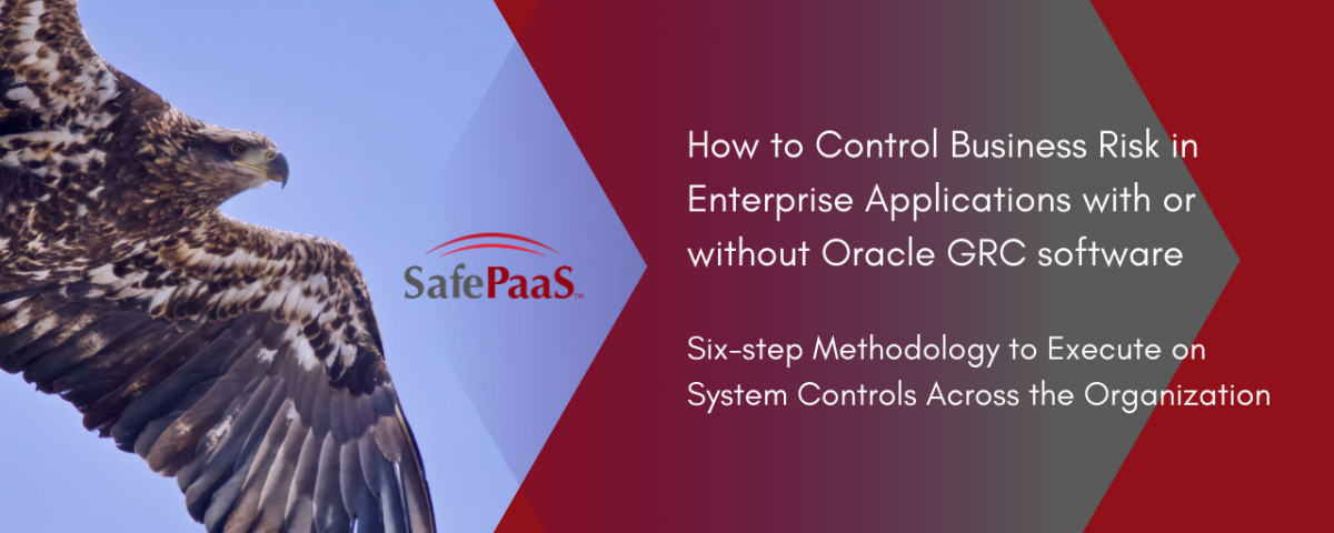 execute systems controls across organisation