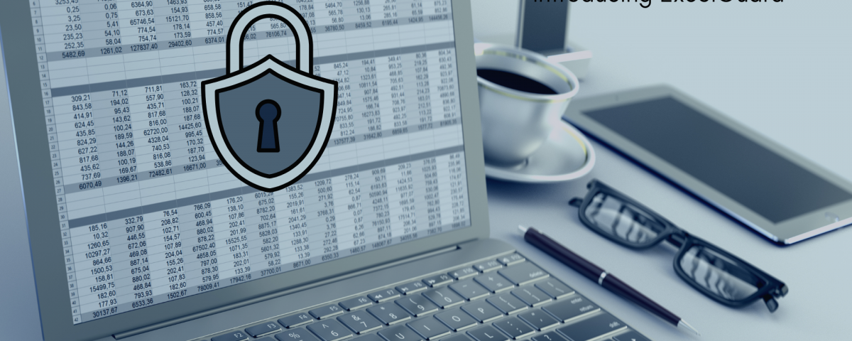 Mitigate risk with spreadsheet controls