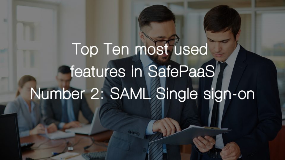 Self Security Services