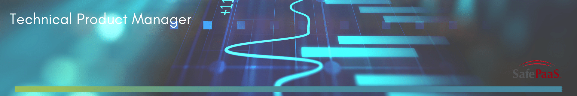 Technical Product Manager