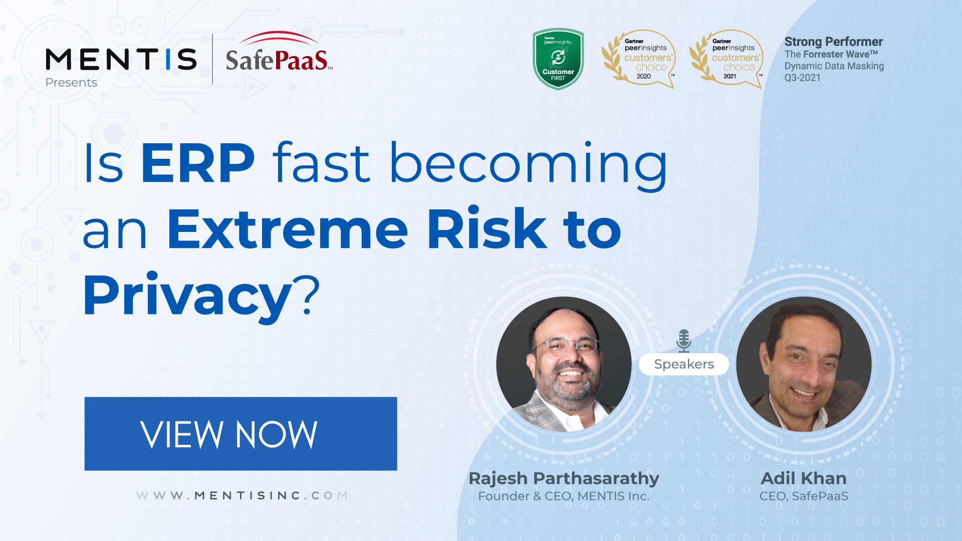 ERP security risk Policy-based access controls