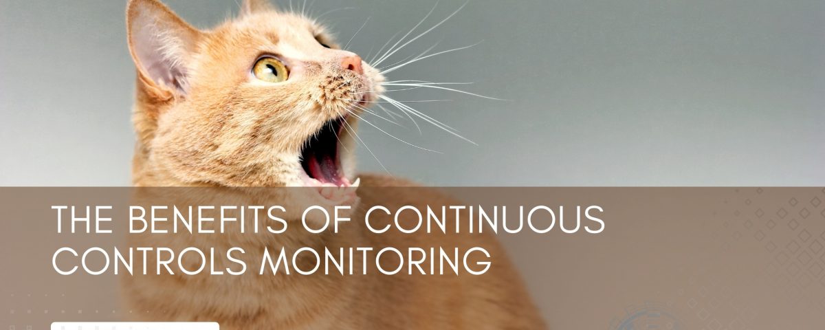 Continuous Controls Monitoring