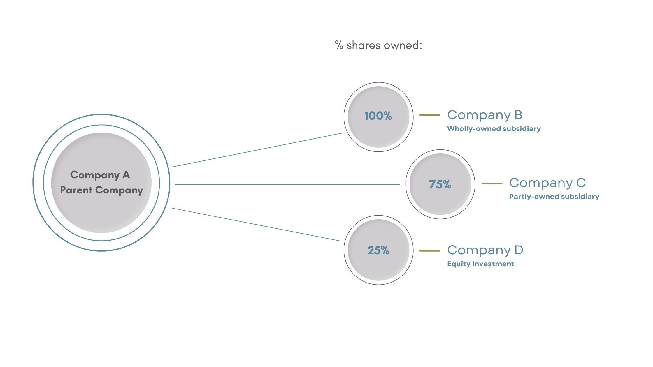 Subsidiary Governance