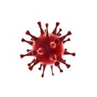 Internal Controls Risk Of Catching COVID