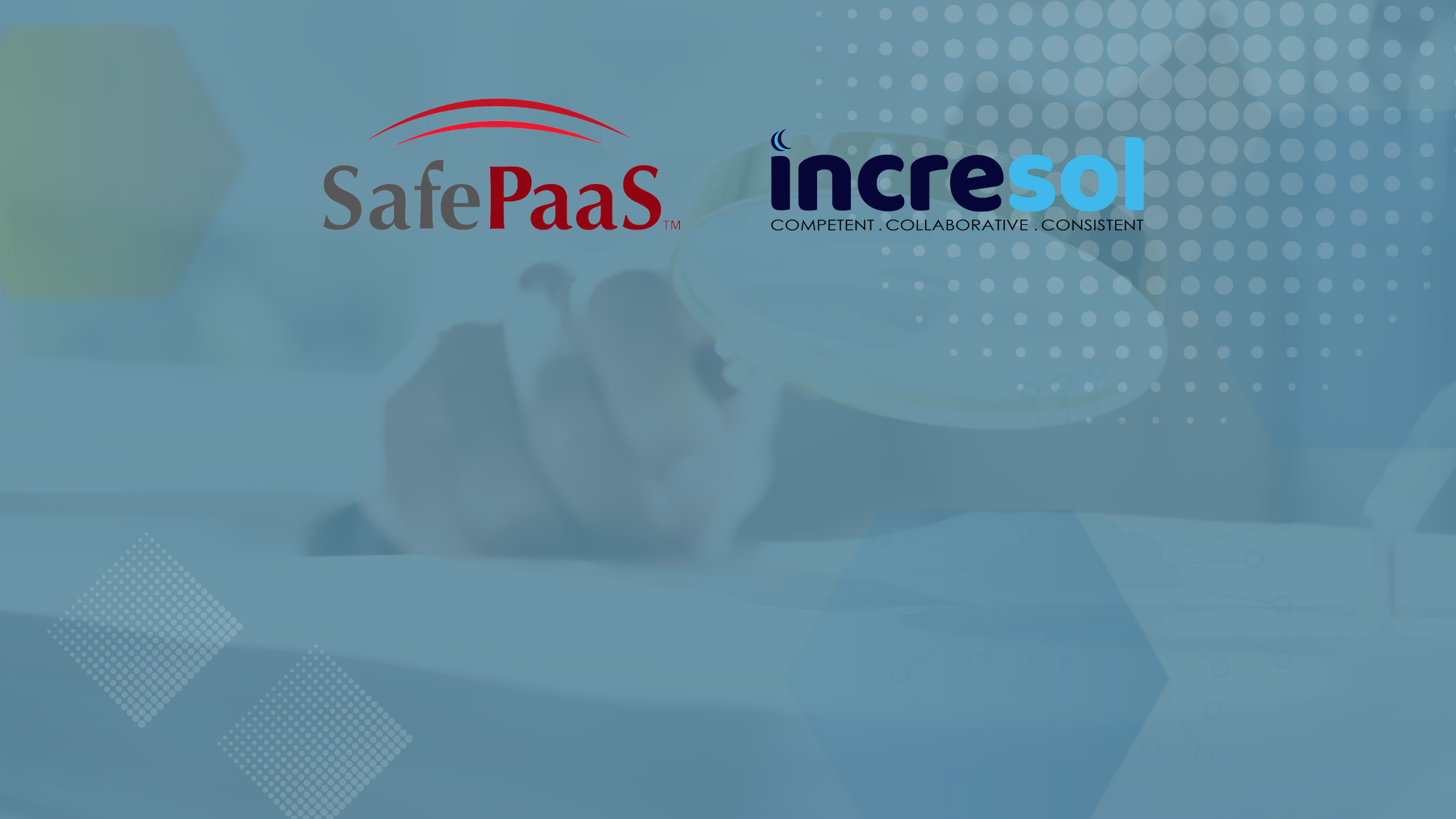 Extend Access Governance For SAP