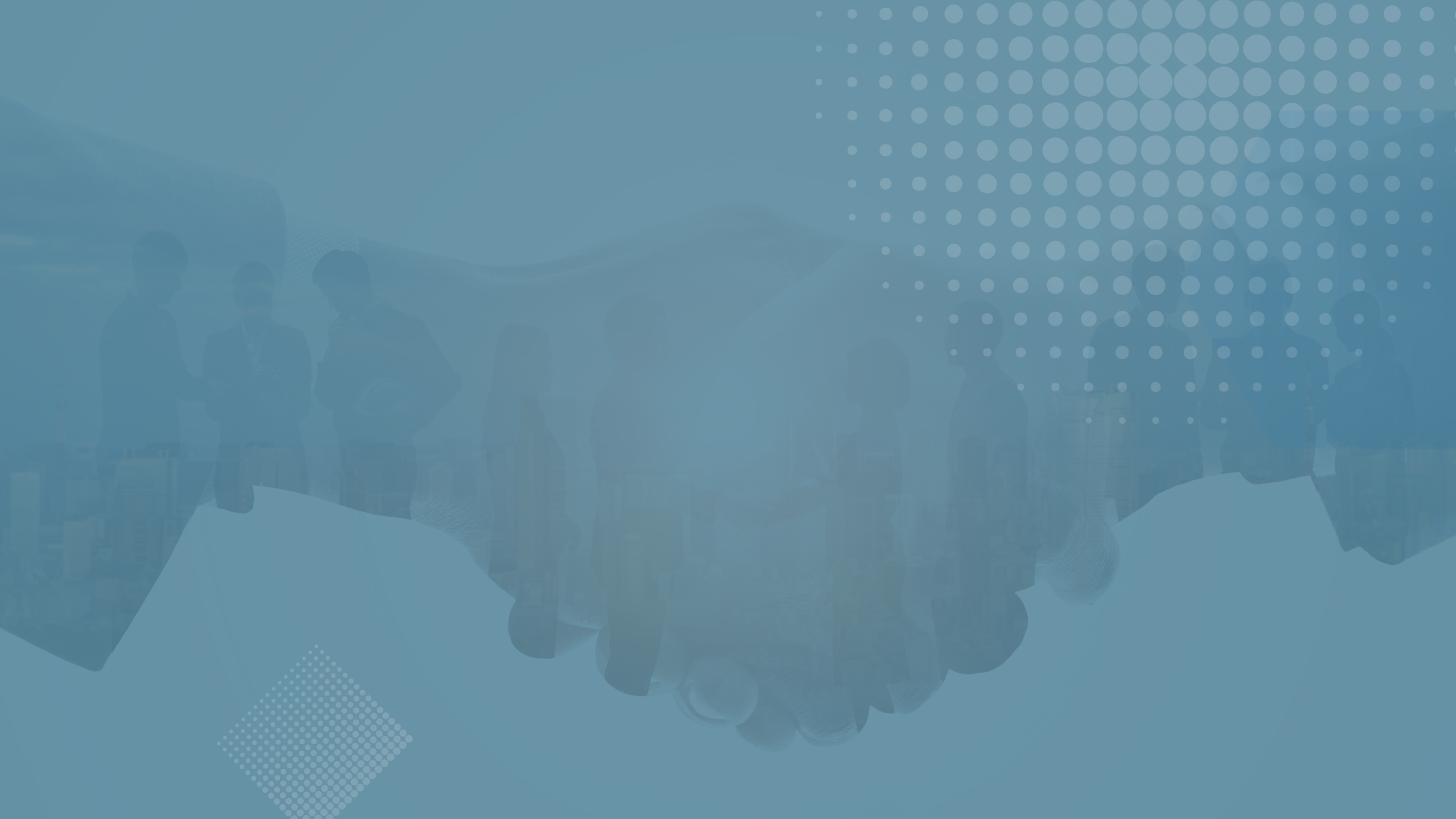 New Partnership ERP Risk Advisors