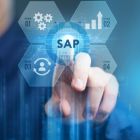 SAP Access Security 