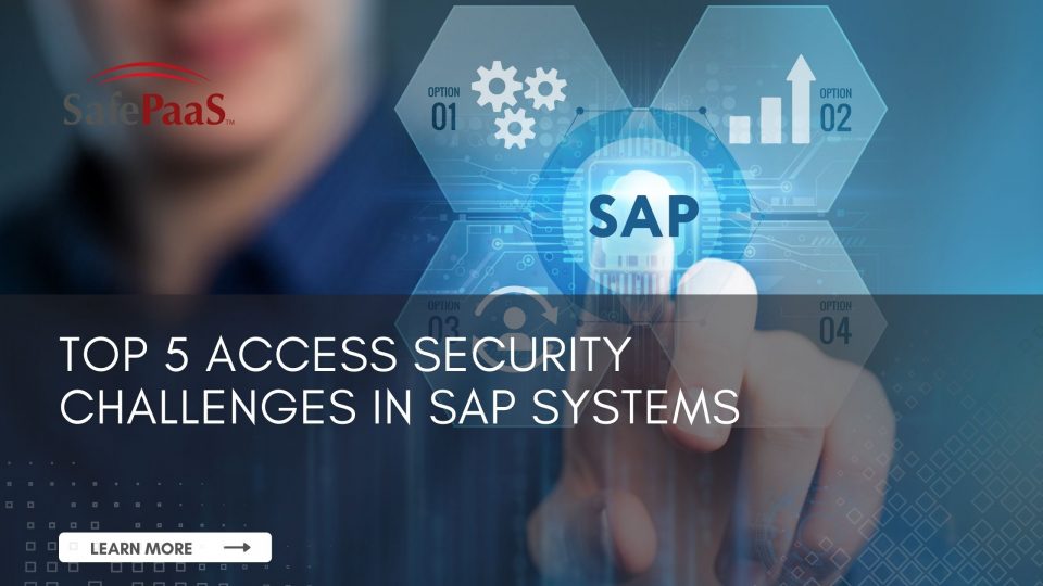SAP Access Security
