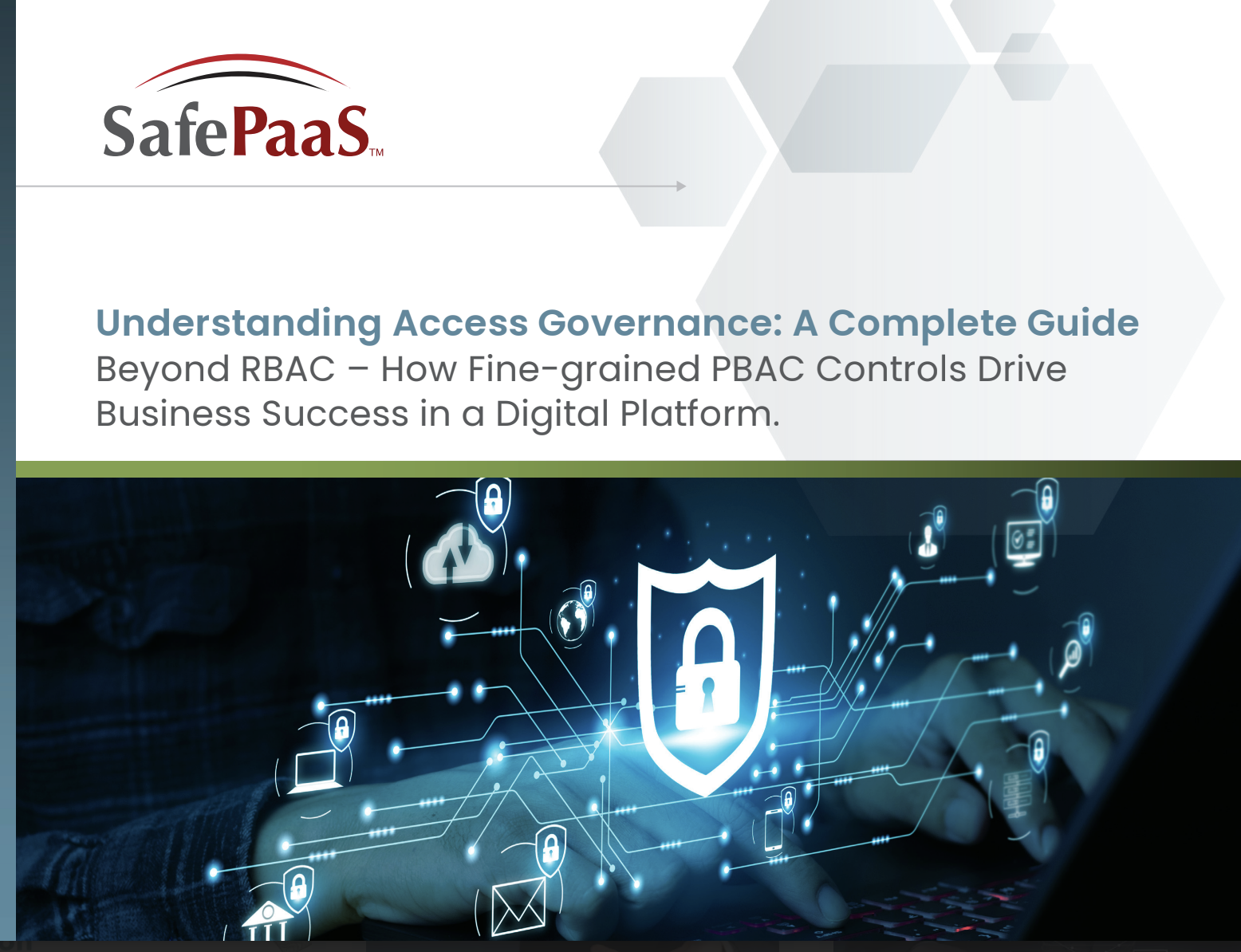 Fine-grained access governance