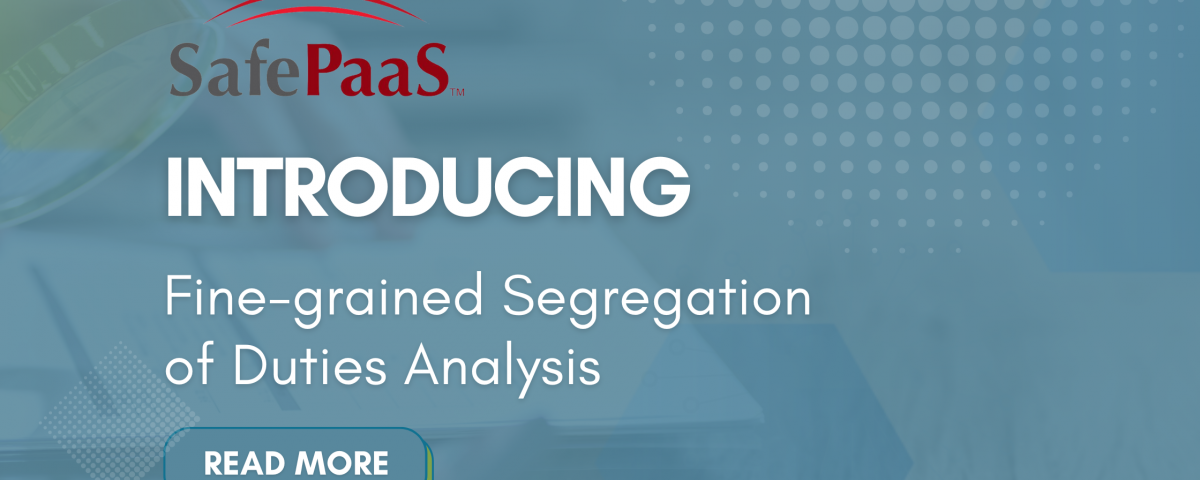 Fine-grained segregation of duties analysis