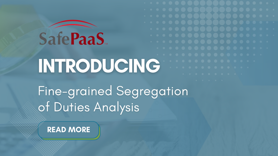 Fine-grained segregation of duties analysis