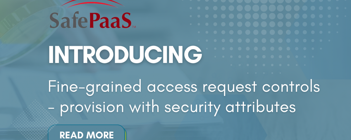 Fine-grained access request controls