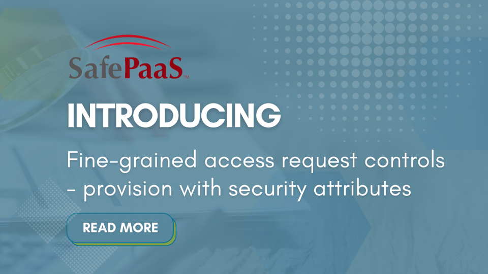 Fine-grained access request controls