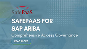 Access Governance for SAP Ariba
