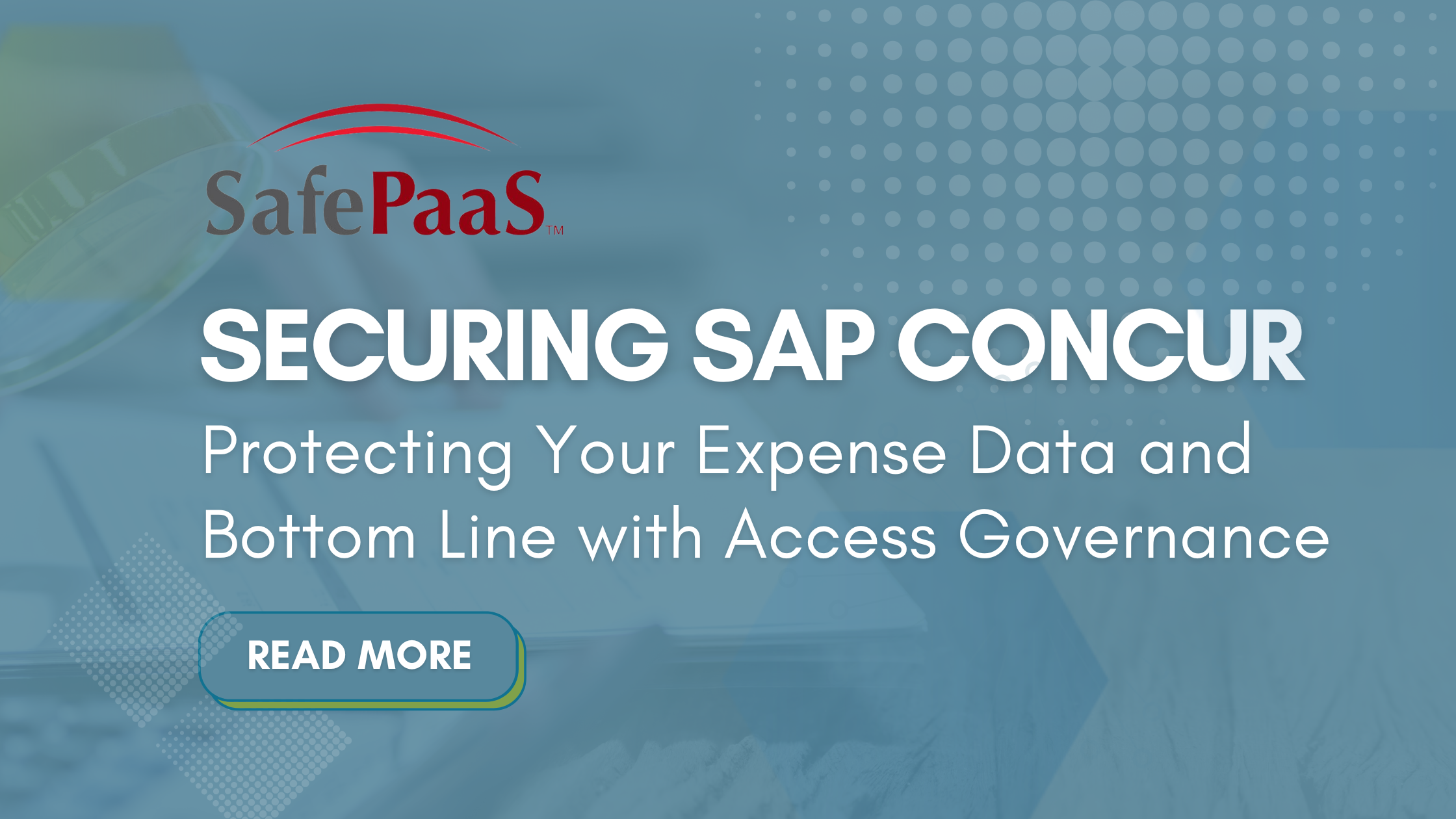 Access Governance SAP Concur